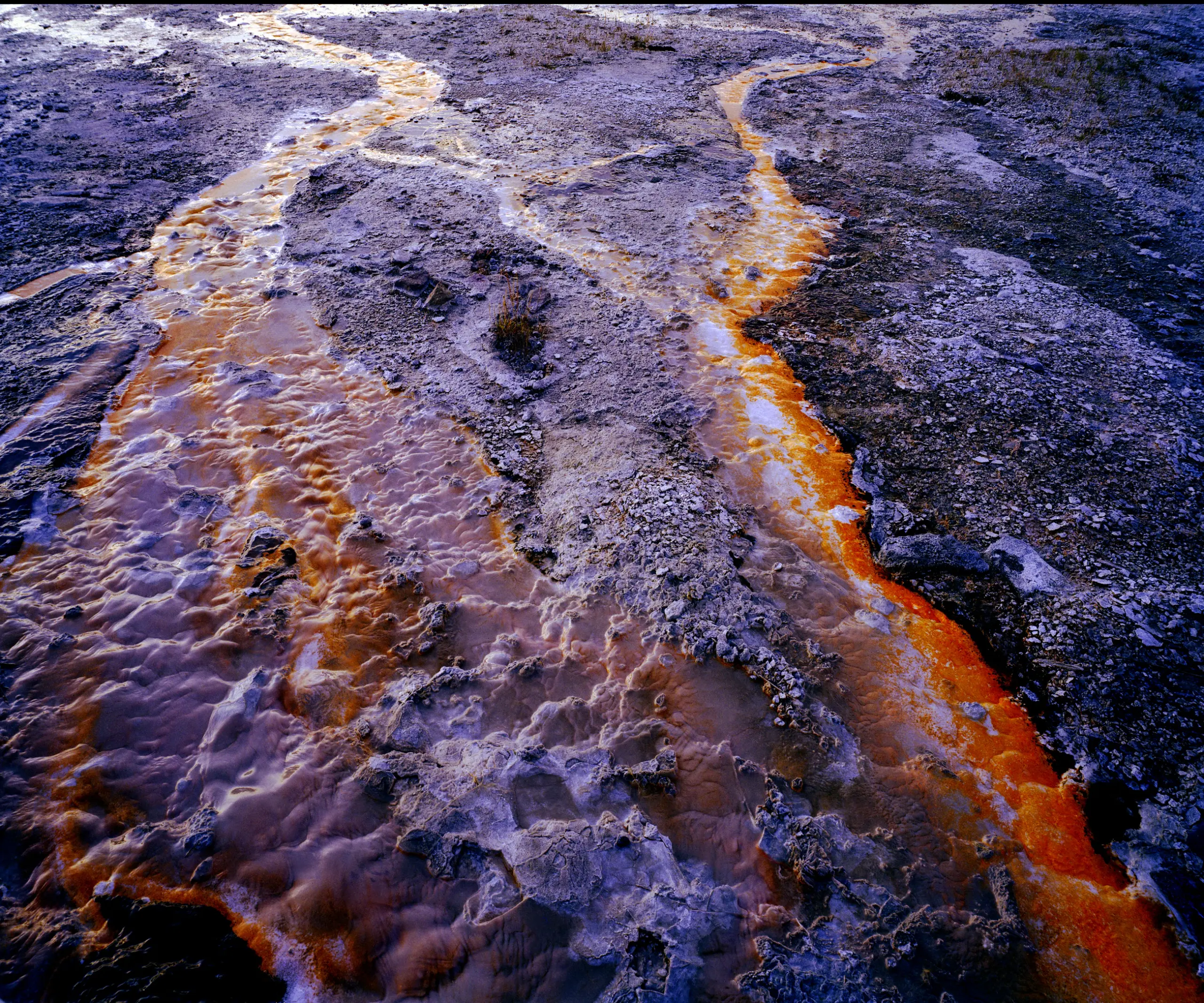 Natural Phenomenon